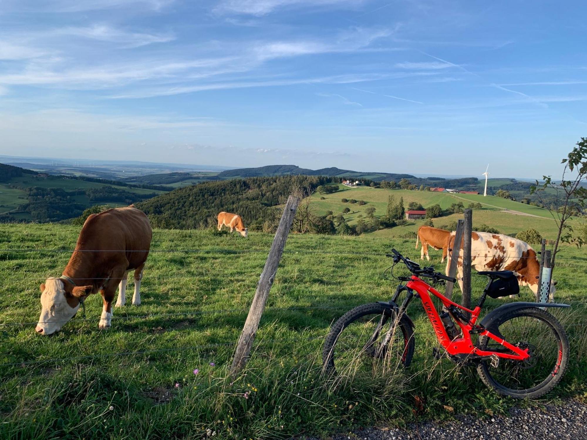 Landgasthof Zur Linde 라벤 외부 사진